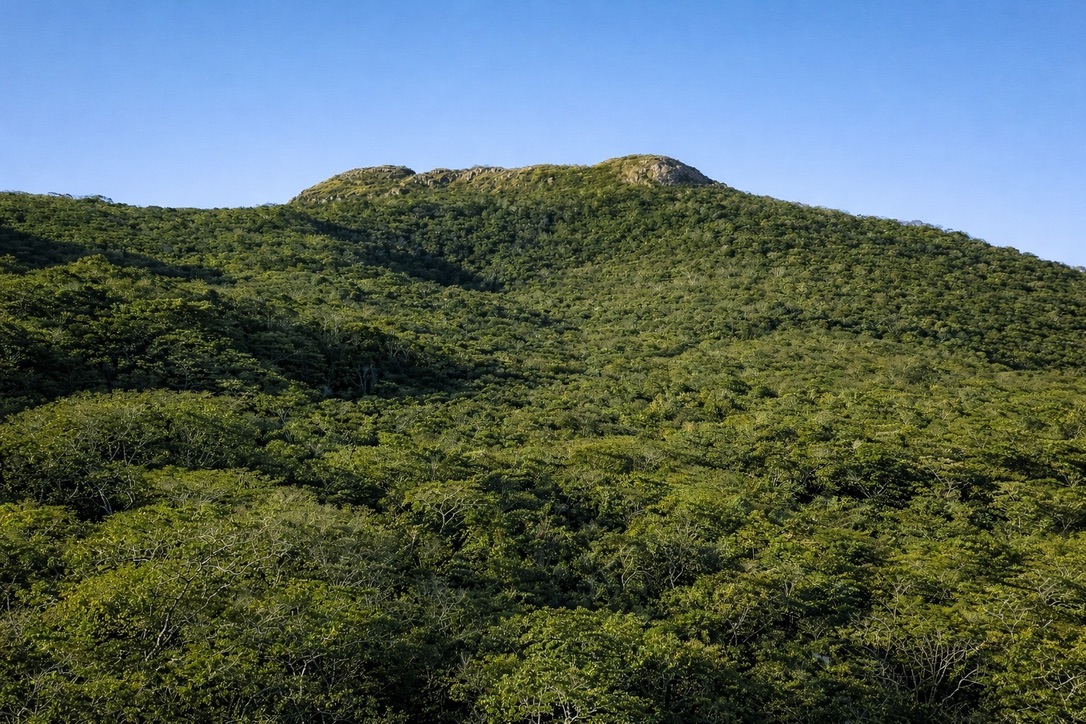 Zalesněný vrchol Cerro Caballito